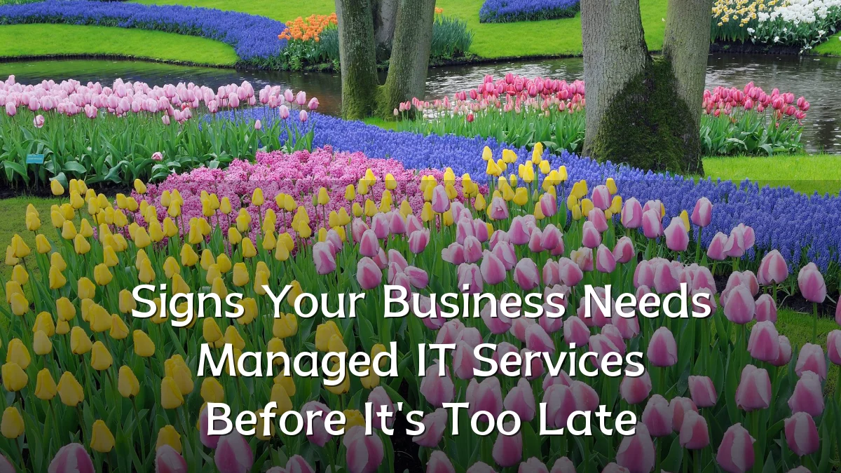 Signs Your Business Needs Managed IT Services Before It's Too Late