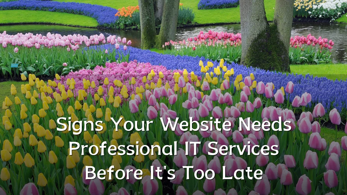 Signs Your Website Needs Professional IT Services Before It's Too Late