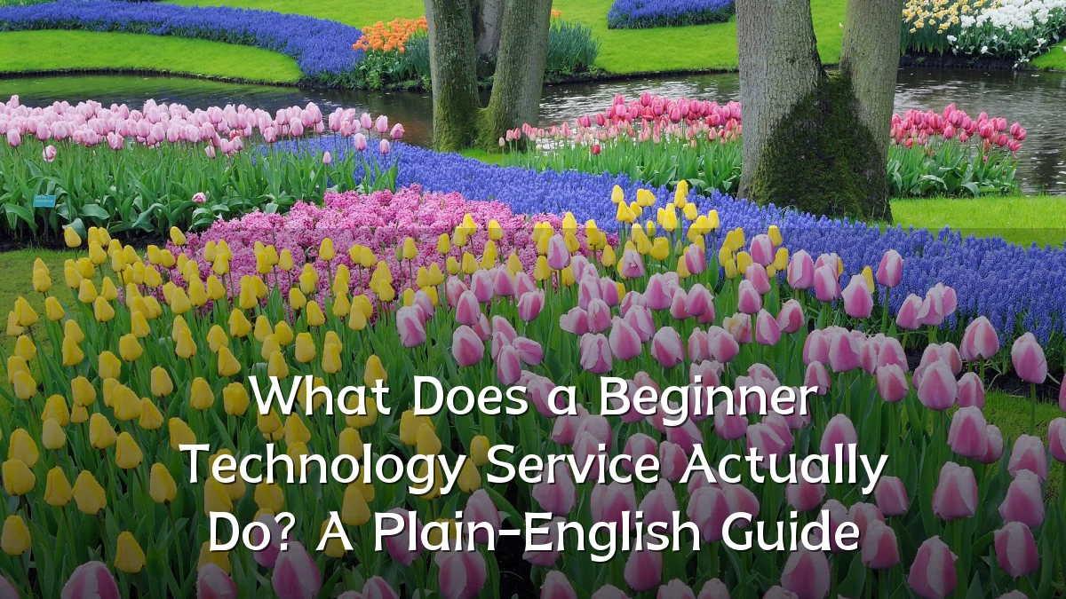 What Does a Beginner Technology Service Actually Do? A Plain-English Guide