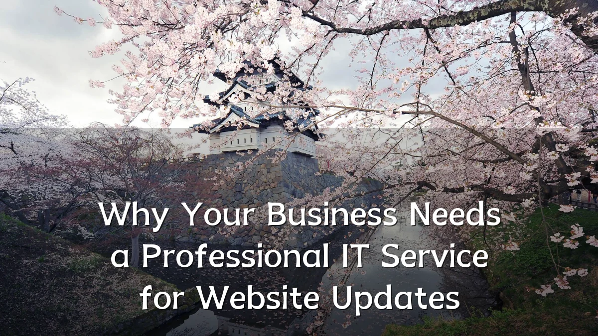 Why Your Business Needs a Professional IT Service for Website Updates