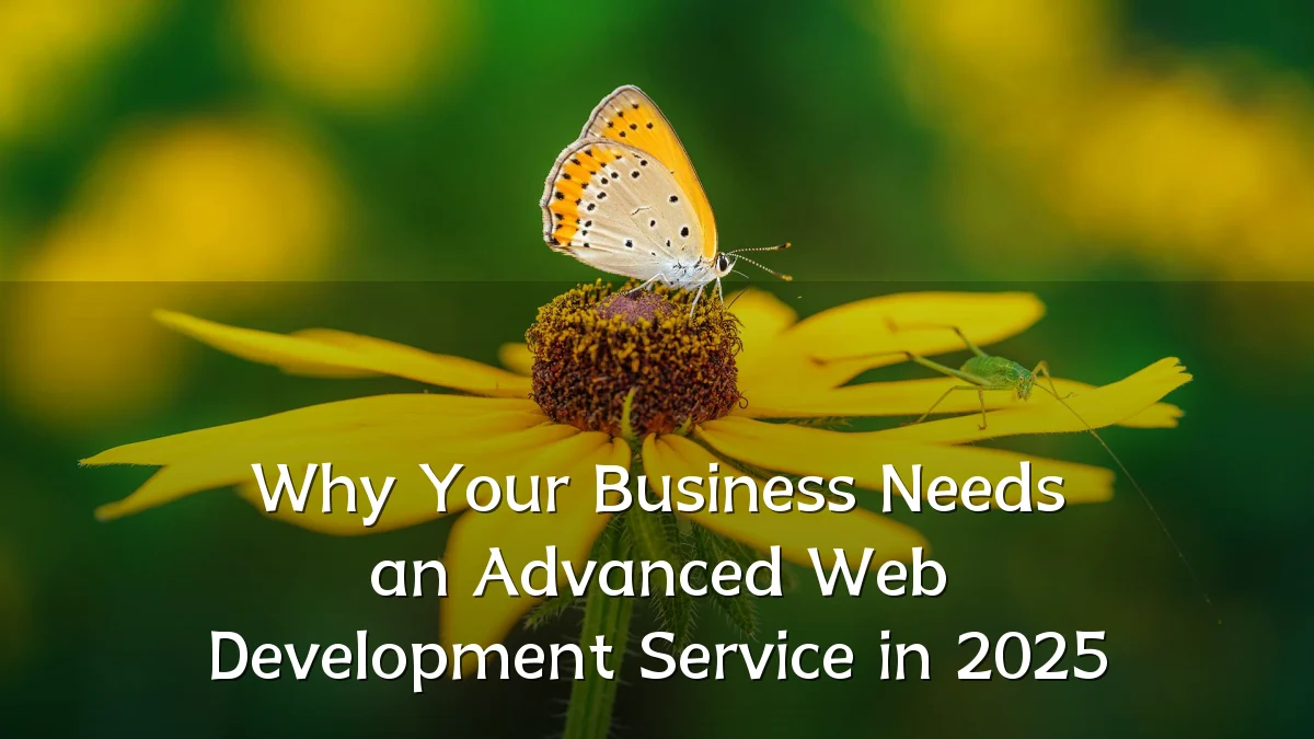 Why Your Business Needs an Advanced Web Development Service in 2025