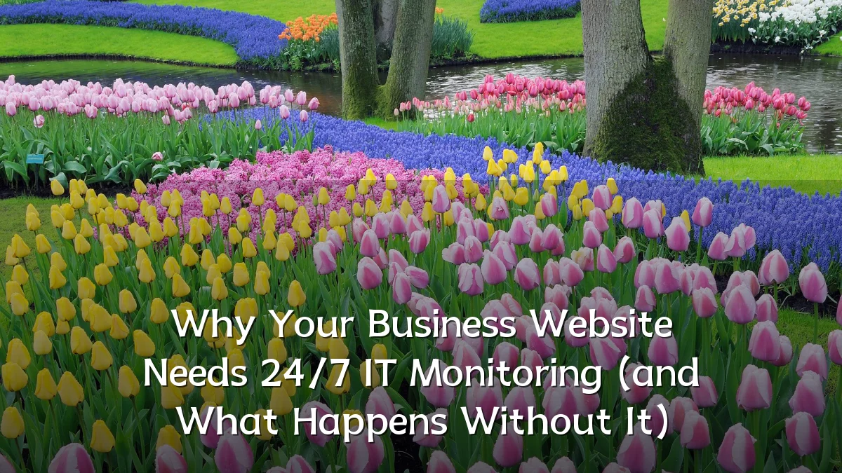 Why Your Business Website Needs 24/7 IT Monitoring (and What Happens Without It)